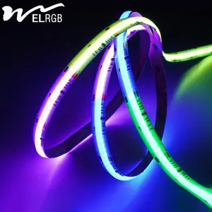 Wholesale flexible outdoor decorative strip lighting neon lights 24V Ip65 neon lights colorful lamp