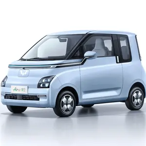 Wuling Air Ev300KMレンジ新エネルギー純電気自動車小型新車ミニカー