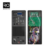 Carte d'amplification RQSONIC AYH-120W, module d'amplificateur audio professionnel de classe AB pour haut-parleur actif
