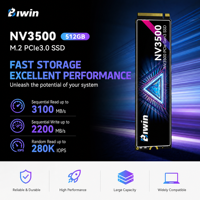 BIWIN NV3500 512GB PCIe3.0 NVMe M.2 2280 SSD Internal Solid State Drive untuk PC Laptop OEM & DIY Komputer Gaming Tersedia