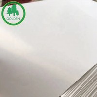 Feuille de papier alimentaire double face, double revêtement PE, pour bases de gobelets, idéale pour boissons chaudes/froides (lait, etc.)