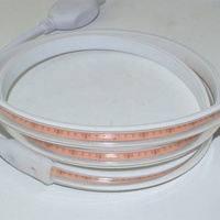 Nouveau produit Bande lumineuse LED COB Epistar 220VAC 12W/M 288PCS/M IP65 Étanche en extérieur Ultra luminosité 5m/rouleau