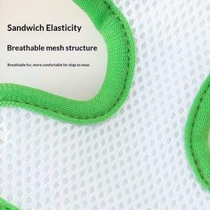 Coleira para Cães Fofa em Poliéster com Olhos Grandes para Caminhadas ao Ar Livre, Anti-fuga, Confortável, Sem Estrangulamento, Logotipo Personalizado - Product Image 4