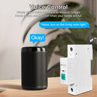 Disjoncteur intelligent Tuya WiFi MCB avec protection contre les surintensités et les fuites à la terre, mesure de la puissance pour contrôle à distance sans fil