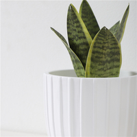 Vente en gros décoration de bureau moderne pots de fleurs moule blanc cylindre pot de plante succulente en ciment