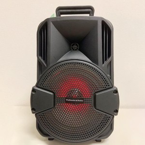 Altavoz Amplificador de Karaoke Portátil Recargable con Subwoofer 3D de 8 Pulgadas, Precio de Fábrica Más Bajo - Product Image 5