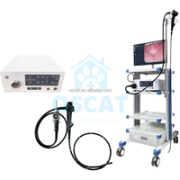 Équipement vétérinaire OSCAT, endoscope CMOS pour clinique vétérinaire, inspection gastro-intestinale et bronchique avec imagerie à haute transmission