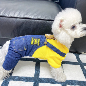 Magnifique manteau d'hiver rembourré pour petits chiens, Teddy, Bichon, Pomeranian, vêtements en coton épais pour animaux de compagnie - Product Image 5
