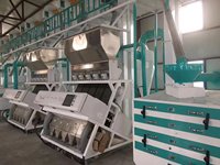 Ligne de décorticage de riz mini entièrement automatique de 50 TPD, haute précision, avec moteur de contrôle central intelligent PLC pour les entreprises agroalimentaires de Malaisie