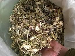 FLOR DE ALCACHOFA SECA 100% Natural de alta calidad de fabricantes de Vietnam al PRECIO MÁS BARATO - Product Image 5