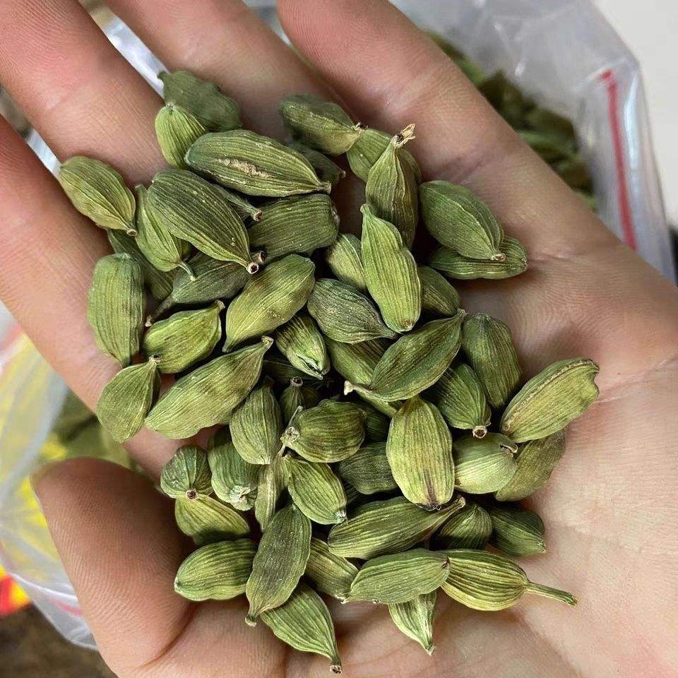 Cardamom| Alibaba.com