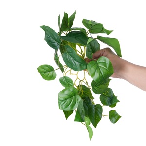 Plante Artificielle CallaFloral, Branche Unique en PVC Brillant, Décoration Intérieure, Couleur Verte MW16303 - Product Image 5