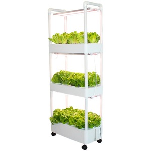 Support de plantes en métal à plusieurs niveaux, porte-pots de fleurs, étagère pour plantes d'intérieur et d'extérieur, présentoir pour plantes de jardinage - Product Image 3