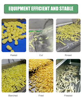 Commerciële 3000kg/uur volautomatische productielijn voor frieten met hoge veiligheidscertificering voor snackfabrieken