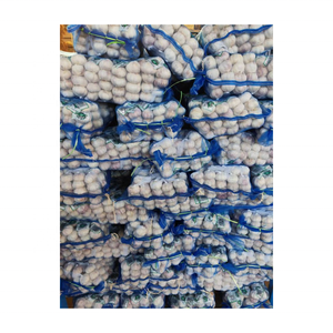 Compre ajo de paquete pequeño de Tianqin, venta al por mayor, ajo normal, ajo blanco puro, al mercado de exportación Dubái - Product Image 5