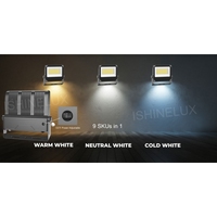 Réflecteur LED extérieur étanche IP66 à haute luminosité lumière d'inondation température de couleur et puissance réglable