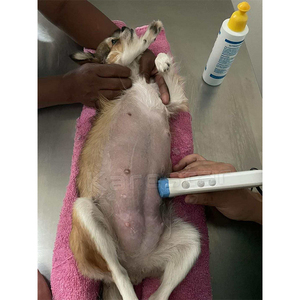 Escáner de Ultrasonido Portátil Inalámbrico con Sonda Lineal Más Vendido, Equipo Hospitalario de Primera Calidad para Veterinarios, Precio de Instrumento Veterinario - Product Image 6