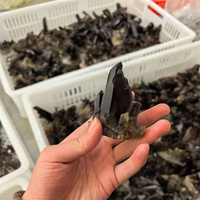 Vente en gros de cristaux naturels de haute qualité, pierres de guérison, grappe de quartz fumé, grappe de cristal noir brut pour collection et cadeaux