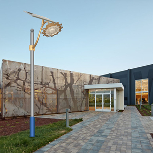 उद्यान <span class=keywords><strong>Trichromatic</strong></span> Dimming अद्वितीय सूरजमुखी मॉडलिंग सौर दीवार दीपक निर्माता 60w 100w 200w आउटडोर सौर स्ट्रीट लाइट - Product Image 5