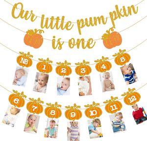 Bannière photo Citrouille d'automne pour 1er <span class=keywords><strong>anniversaire</strong></span>, guirlande de photographie pour les étapes importantes des nouveau-nés jusqu'à 12 mois - Product Image 1