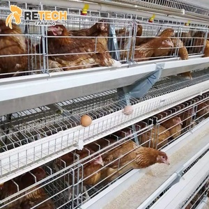 Sıcak satış 96,128,160 kuş kümes hayvanları çiftlikleri ekipmanları tavuk tabakası kafesleri - Product Image 6