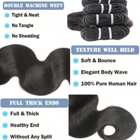Fournisseur de Cheveux Birmans Fiable – Vente en Gros de Cheveux Birmans Bruts Bouclés – Offre de Lots de Cheveux Humains Bouclés Birmans pour Crochet