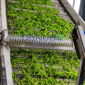 24 Hours Working Continuous Mesh Belt Dryer Production Line for Drying Vegetable Ferns Leaves - Product Image 5