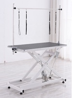 Table de toilettage pour chien avec bras