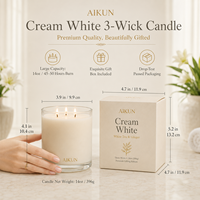 Bougie parfumée artisanale en cire de soja AIKUN de qualité supérieure, 3 mèches, verre ombré, emballage personnalisé, pour boutique de cadeaux de luxe
