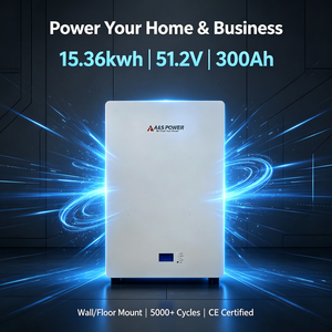51.2V 300Ah LiFePO4 Home <b>Energy</b> <b>Storage</b> Battery 15360Wh Wall Mounted Lithium Iron Phosphate Power Battery for Solar <b>System</b> - Product Image 5