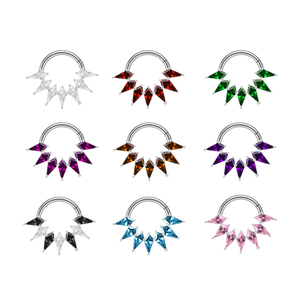 Calendario vendita calda ASTM F136 titanio alto lucido anello di segmento a cerniera setto anello naso Piercing orecchio gioielli cerchio Clicker - Product Image 2