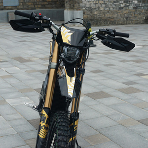 Motocicleta Todoterreno de Alta Velocidad 2025, 21kW, 74V, Batería de Litio de 60Ah, Motor en el Buje Trasero, Frenos de Disco, Autonomía de 115km, 12 Velocidades - Product Image 1