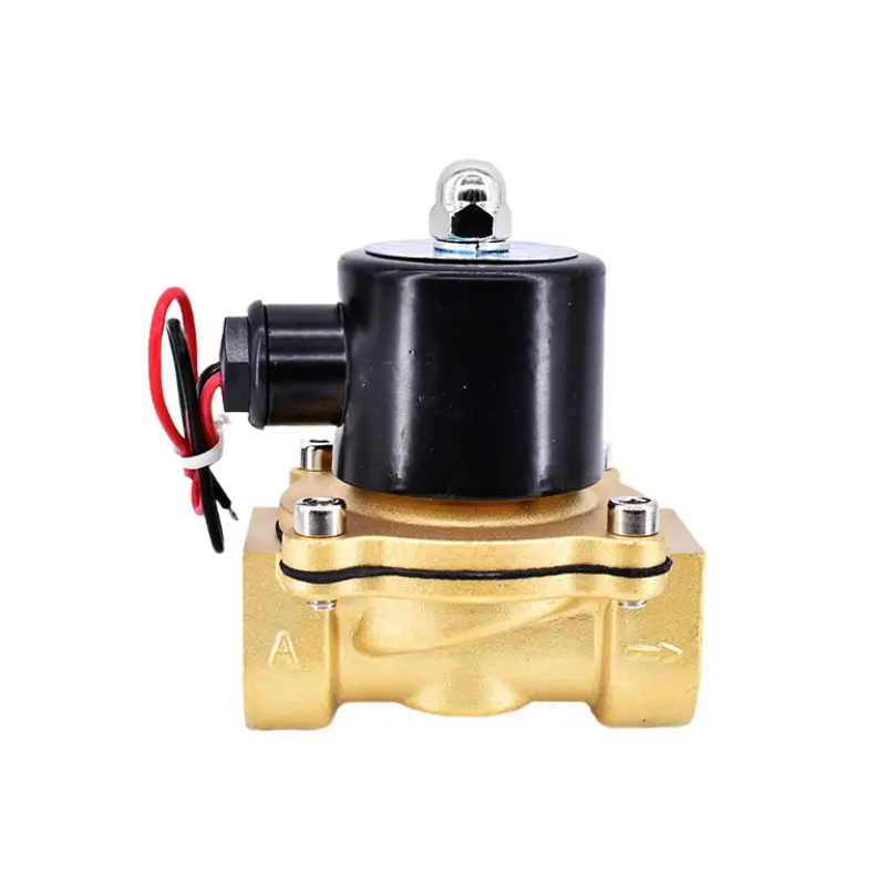 2w350-35/2 cách NC Brass DC 12V 24V AC 220V DN32 điện solenoid valve cho nước