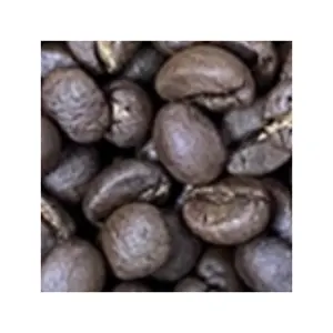 구운 Arabica Catimor 완전 세척 전문 팀 녹색 커피 콩 저렴한 맞춤형 포장 베트남 제조업체