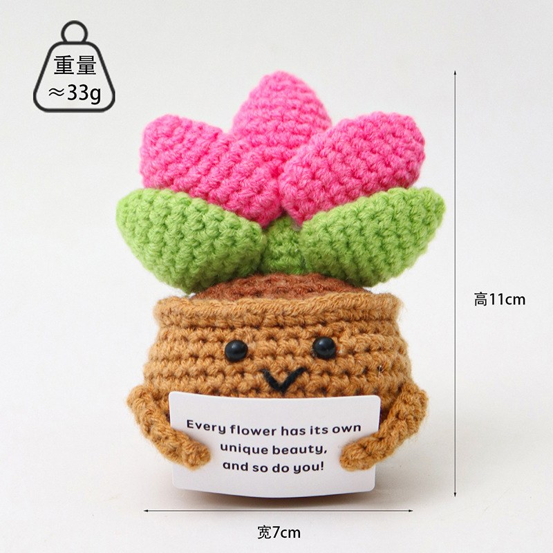 Succulente rose + carte électronique