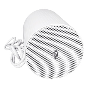 Système Obt- 203 Pa 20w Vente à Chaud/Fabricant Professionnel/Matériau ABS/Haut-parleurs Suspendus pour Intérieur - Product Image 3