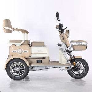 SANMAZI EEC 3 tekerlekli elektrikli üç tekerlekli bisiklet 60V 72V 650W yüksek kalite açık vücut yolcu yetişkinler için uzun pil ömrü düşük fiyat - Product Image 5