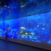 Projecteur laser intelligent 4K HL-DKV76 pour la fusion d'images, idéal pour les expositions, les musées et les équipements de projection interactive multimédia