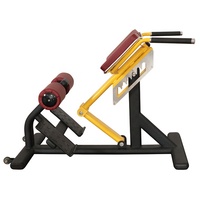 Nouveau banc d'exercice abdominal Cybex en acier de couleur commerciale, chaise romaine, extension dorsale pour l'entraînement physique, en vente