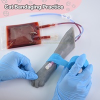 Kit de pratique vétérinaire pour prélèvement sanguin et cathétérisme IV sur la patte du chat, destiné aux étudiants, vétérinaires et à la formation