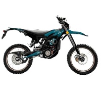 Autocollants de moto de haute qualité TZ253, pièces de performance pour moto, film métallique, design personnalisé pour SURRON Light Bee