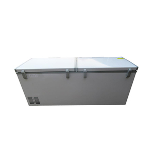 Congeladores Horizontales de Gran Capacidad para Supermercados y Uso Doméstico - Product Image 6