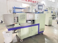 Granulateur d'extrusion de granulateur de plastique personnalisé de fabricant professionnel avec récipient sous pression