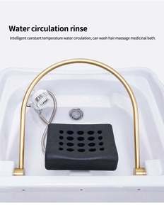 Portable Water Storage Hair Washing Spa Machine with Mobile Basin for Salon Home Use Shampoo Chair Head Therapy - Product Image 1