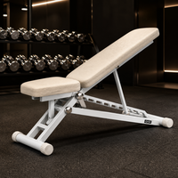 Banc de musculation multifonctionnel en plastique, inclinable et réglable, pour exercices de musculation