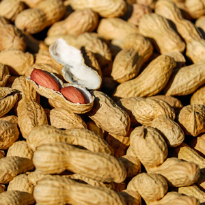 Nouvelle récolte d'arachides traditionnelles, exportation d'arachides traditionnelles, nouvelle saison, arachides indiennes authentiques, arachides authentiques de qualité supérieure - Product Image 1