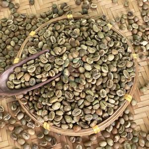 Grains de café verts naturels Robusta taille 16 grains crus à 100 pour cent pour la torréfaction industrielle du café sac de jute approvisionnement en gros - Product Image 2