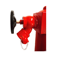Hydrant d'incendie à double sortie ANSU, type humide, avec vannes, en fonte, DN100, 435 PSI