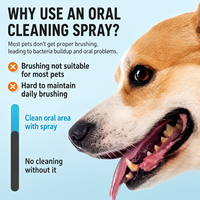 Spray buccal nettoyant Nano Argent pour chats et chiens, soin dentaire sans brossage pour une haleine fraîche et le contrôle du tartre