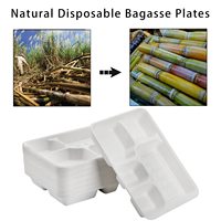 Assiettes rectangulaires divisées biodégradables naturelles blanches écologiques Assiettes en papier compostables jetables à 5 compartiments
